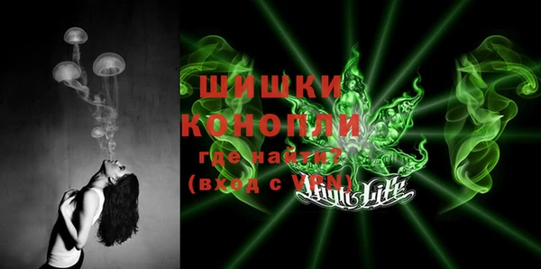шишки Балабаново