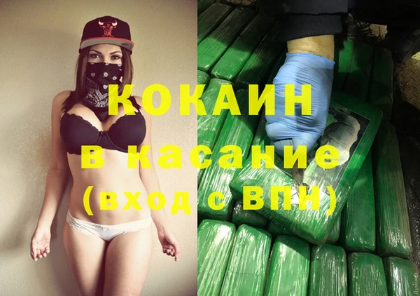 шишки Балабаново