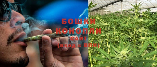 шишки Балабаново