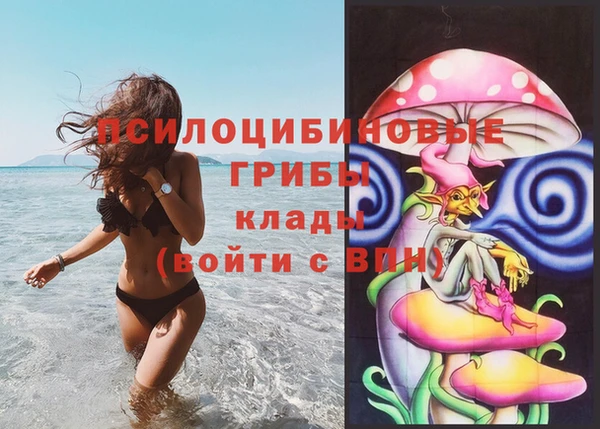 mdpv Аша