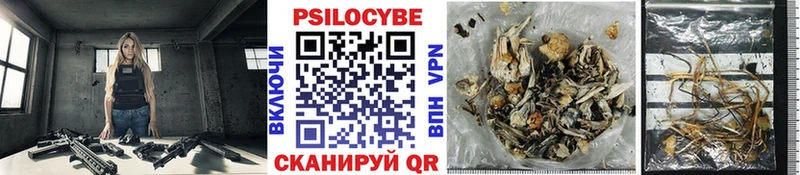 Псилоцибиновые грибы MAGIC MUSHROOMS kraken онион Белебей
